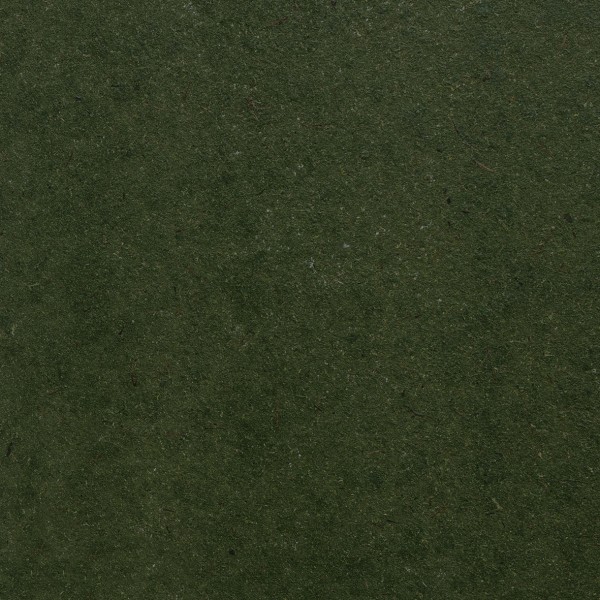 Wildmoos dunkelgrün