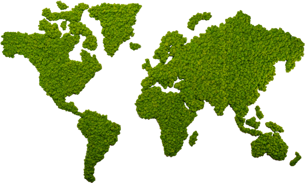 Islandmoos Weltkarte